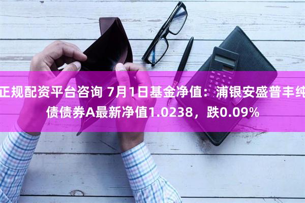 正规配资平台咨询 7月1日基金净值：浦银安盛普丰纯债债券A最新净值1.0238，跌0.09%