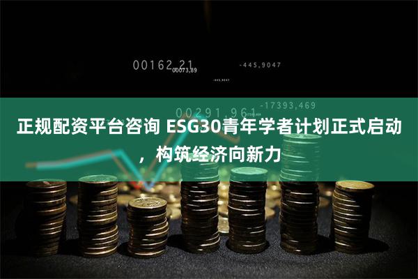 正规配资平台咨询 ESG30青年学者计划正式启动，构筑经济向新力