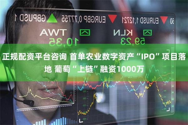 正规配资平台咨询 首单农业数字资产“IPO”项目落地 葡萄“